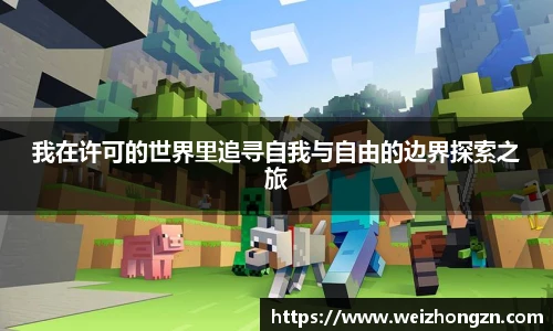 我在许可的世界里追寻自我与自由的边界探索之旅