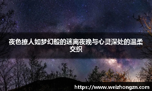 夜色撩人如梦幻般的迷离夜晚与心灵深处的温柔交织